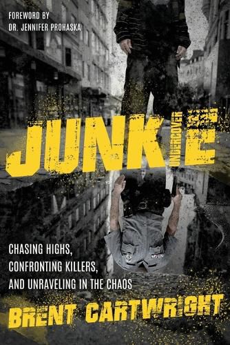 Cover image for Undercover Junkie