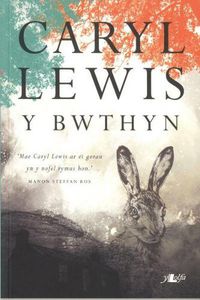 Cover image for Bwthyn, Y