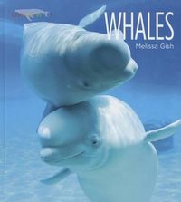 Cover image for Whales