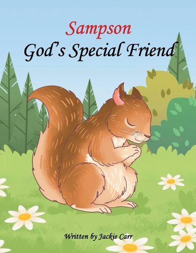 Cover image for Sampson God's Special Friend