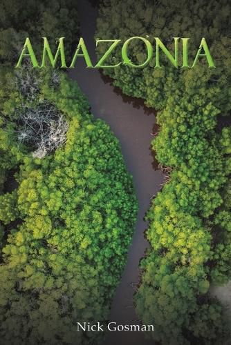 Cover image for Amazonia