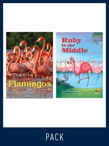 Cover image for Flying Start Guided Reading Level 16, Pack 2: Paired student books (6x6) and lesson plan (1)