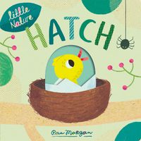 Cover image for Hatch