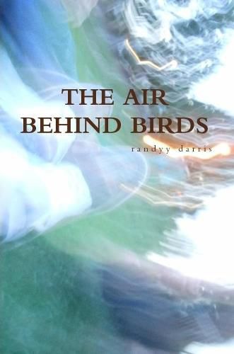 Cover image for The Air Behind Birds