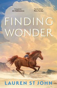 Cover image for Finding Wonder