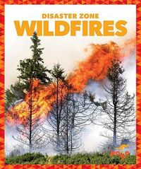 Cover image for Wildfires