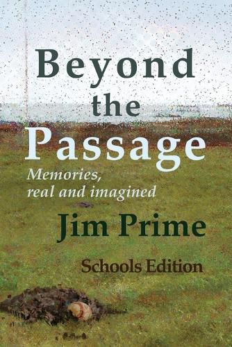 Cover image for Beyond the Passage