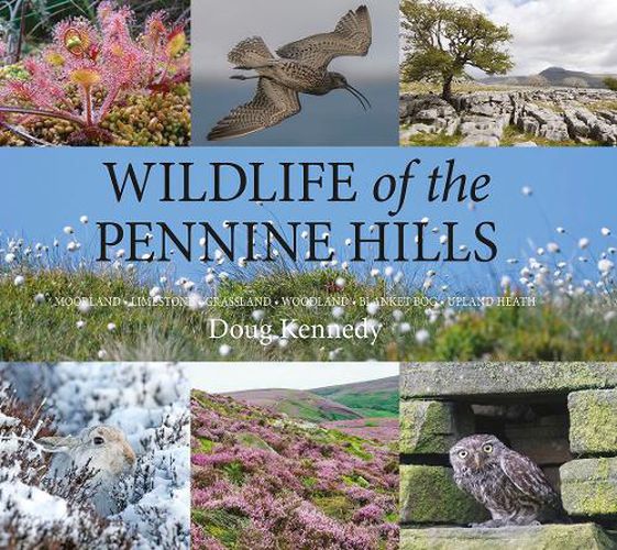 Wildlife of the Pennine Hills: Moorland : Limestone : Grassland : Woodland : Blanket Bog : Upland Heath