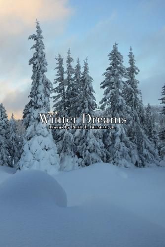 Cover image for Winter Dreams