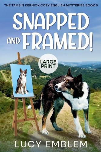 Cover image for Snapped and Framed!