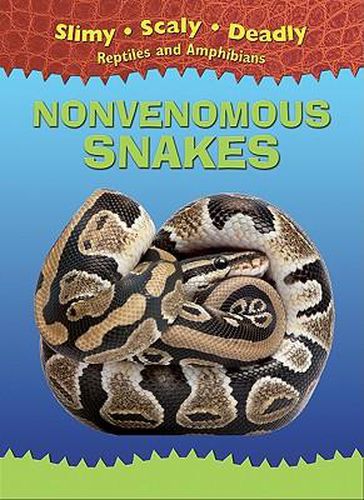 Cover image for Nonvenomous Snakes