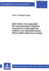 Cover image for Split-Brain Und Lateralitaet: Ein Intermanueller Vergleich Motorischer Leistungen Bei Intakten Und Callosotomierten Rhesusaffen (Macaca Mulatta)