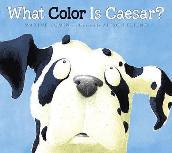 Cover image for What Color Is Caesar?