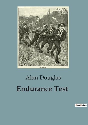 Cover image for Endurance Test