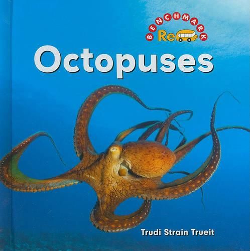 Cover image for Octopuses