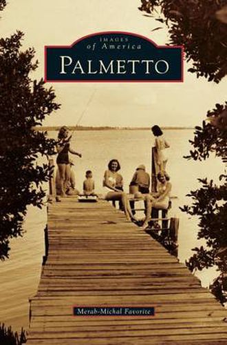 Cover image for Palmetto