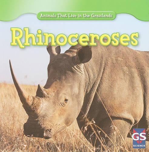 Cover image for Rhinoceroses