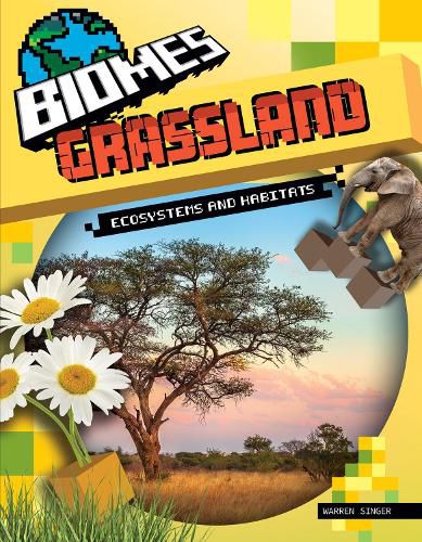 Cover image for Grassland