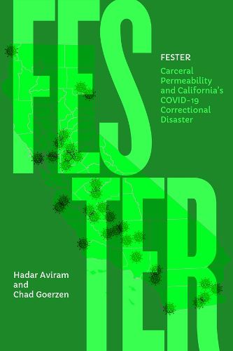 Cover image for Fester