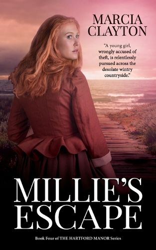 Cover image for Millie's Escape