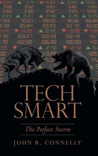 Cover image for Tech Smart: The Perfect Storm