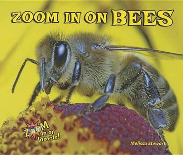 Cover image for Zoom in on Bees