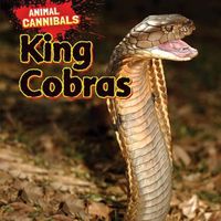 Cover image for King Cobras