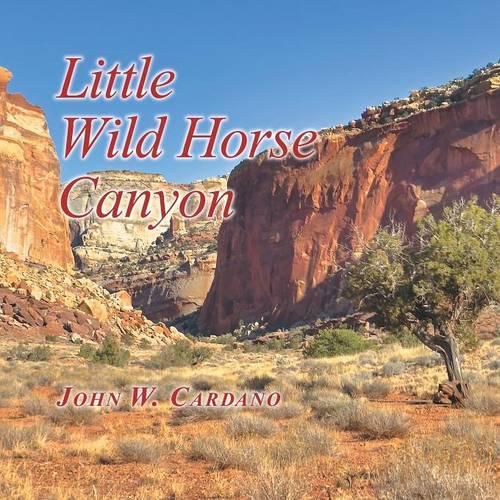 Cover image for Little Wild Horse Canyon