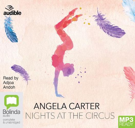 Cover image for Nights at the Circus