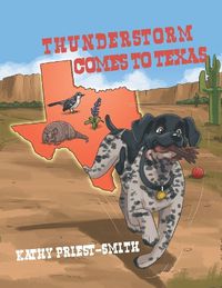 Cover image for Thunderstorm Comes to Texas