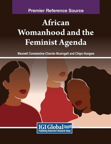 Cover image for African Womanhood and the Feminist Agenda