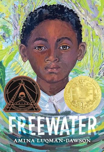 Cover image for Freewater