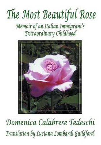 Cover image for The Most Beautiful Rose: Memoir of an Italian Immigrant's Extraordinary Childhood