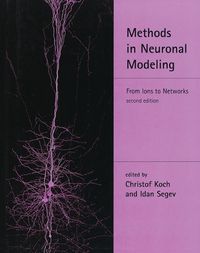 Cover image for Methods in Neuronal Modeling: From Ions to Networks