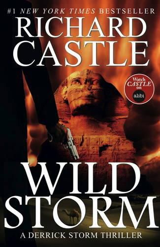 Cover image for Wild Storm: A Derrick Storm Novel