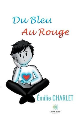 Cover image for Du bleu au rouge