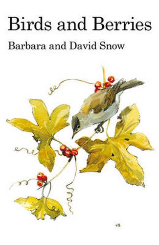 Cover image for Birds and Berries