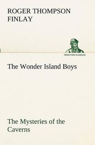 Cover image for The Wonder Island Boys: The Mysteries of the Caverns