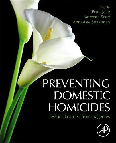 Cover image for Preventing Domestic Homicides: Lessons Learned from Tragedies