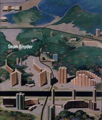 Cover image for Sean Snyder