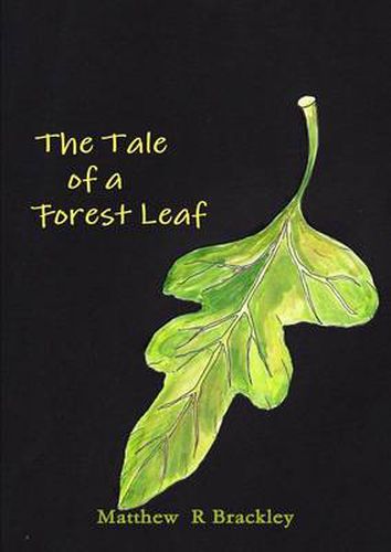 The Tale of a Forest Leaf