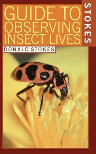 Cover image for Stokes Guide to Observing Insect Lives