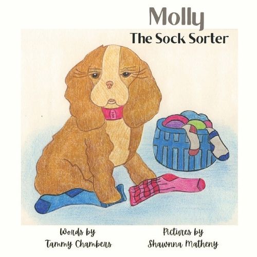 Cover image for Molly the Sock Sorter