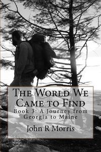 Cover image for The World We Came to Find