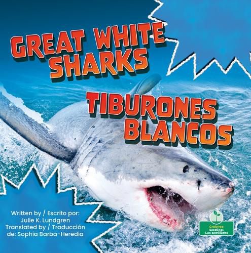 Tiburones Blancos (Great White Sharks) Bilingual Eng/Spa