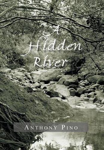 Cover image for A Hidden River