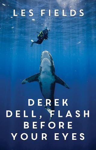 Cover image for Derek Dell - Flash Before Your Eyes