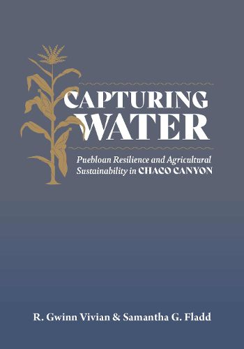 Cover image for Capturing Water