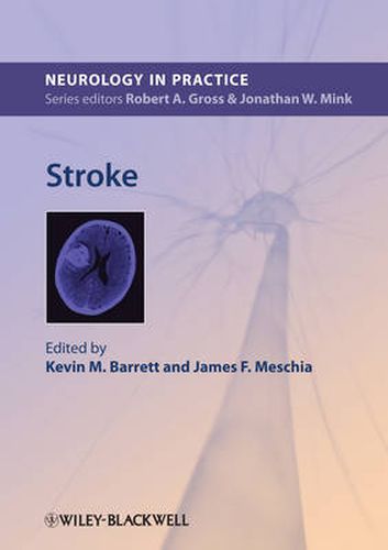 Cover image for Stroke