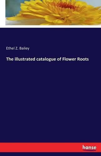 Cover image for The illustrated catalogue of Flower Roots